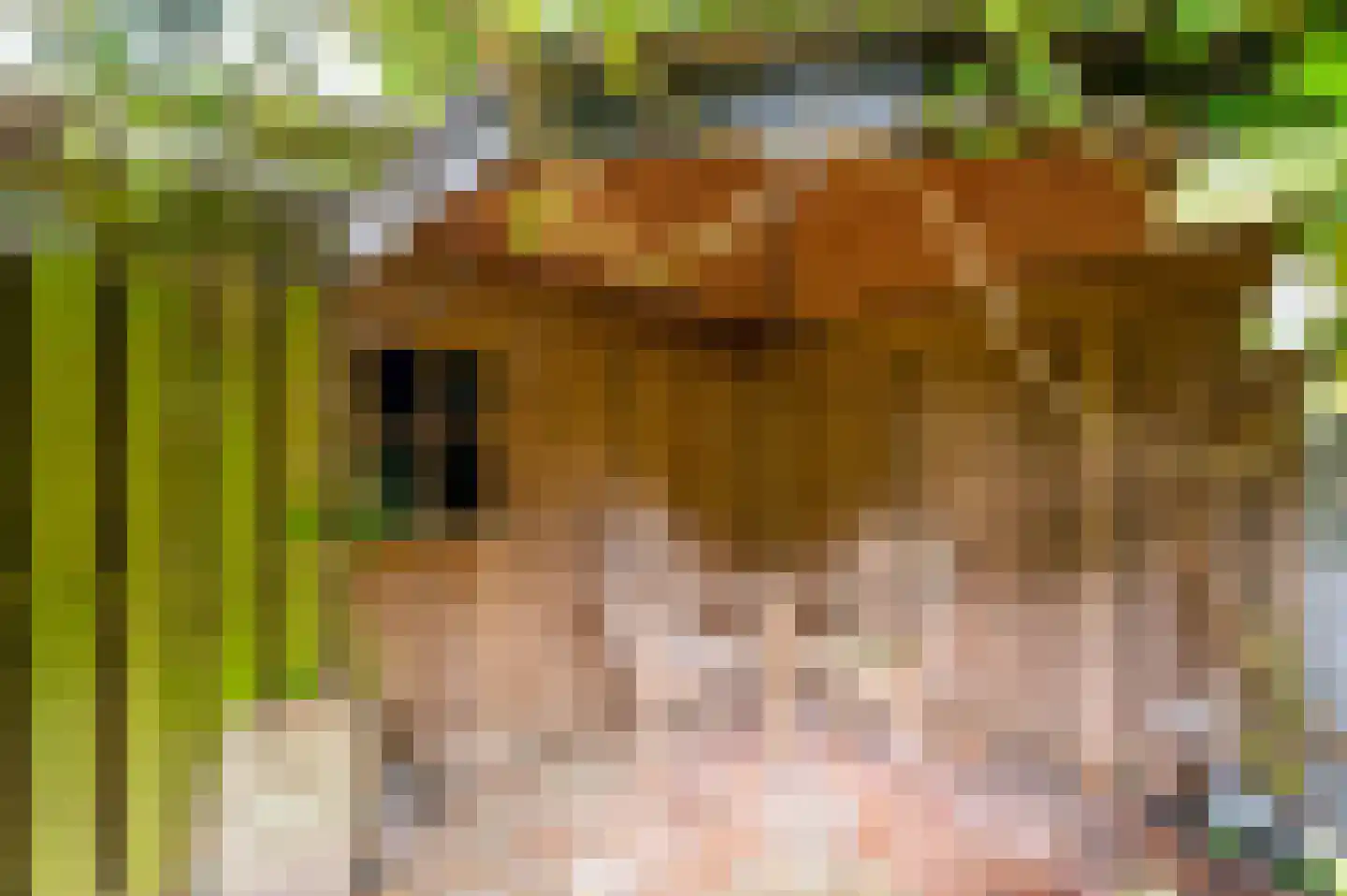 Merellaan 8 Grubbenvorst thumbnail 52