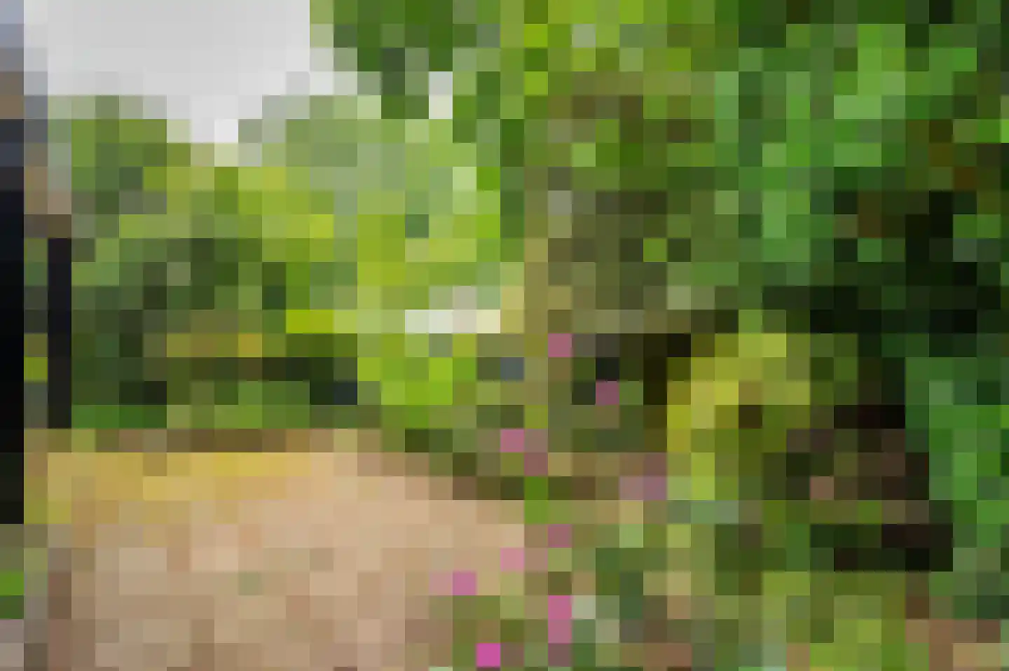 Merellaan 8 Grubbenvorst thumbnail 54