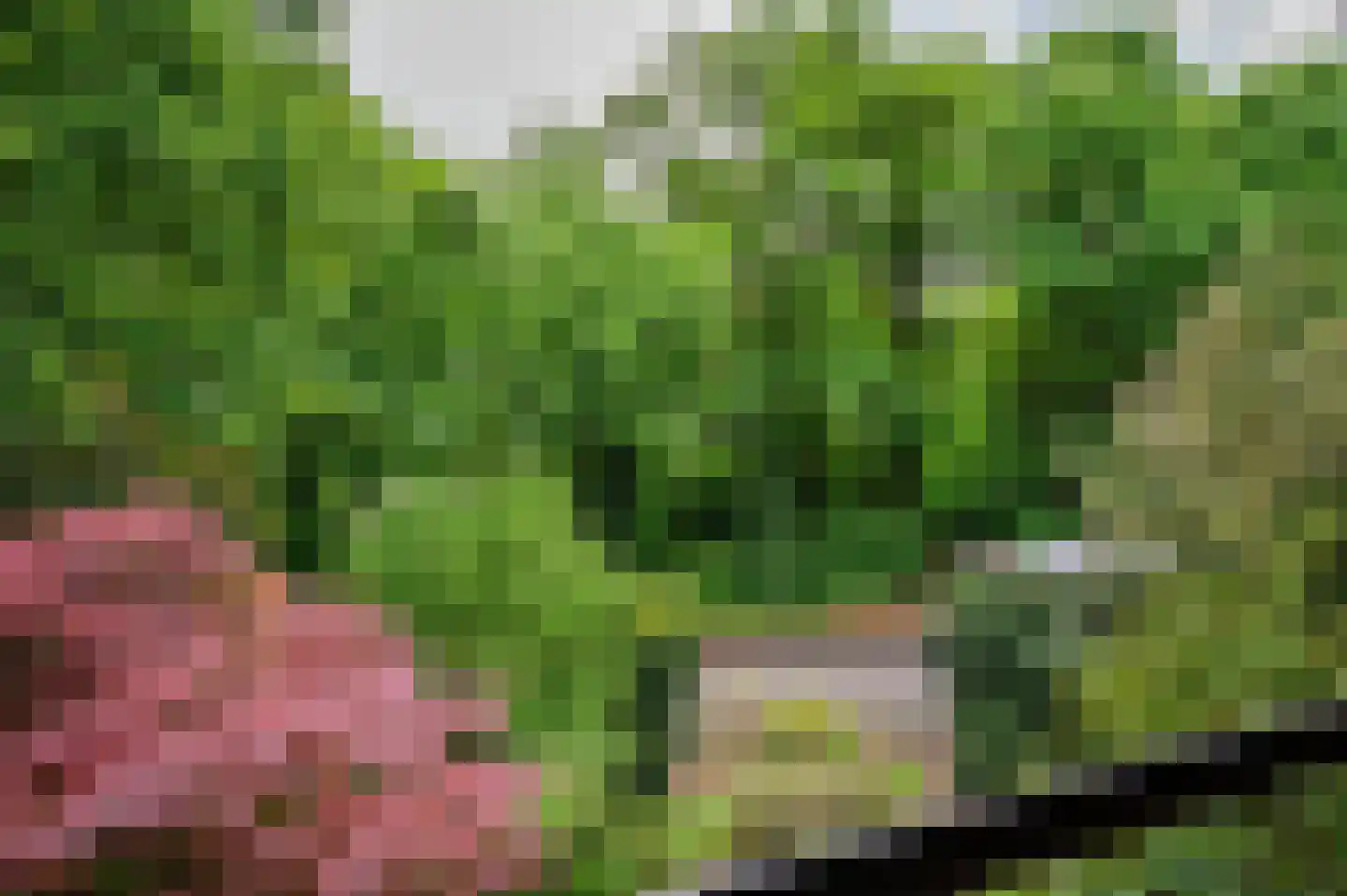 Merellaan 8 Grubbenvorst thumbnail 59