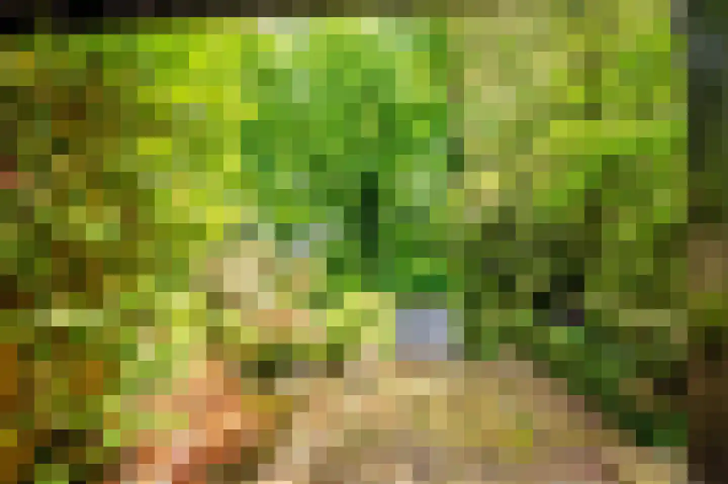 Merellaan 8 Grubbenvorst thumbnail 60