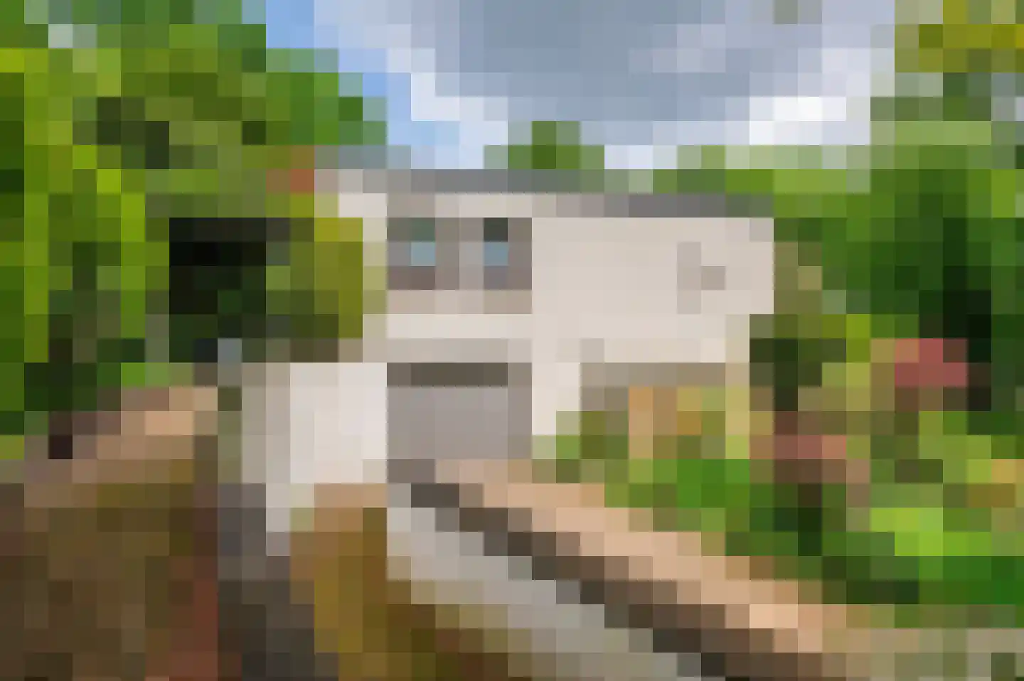 Merellaan 8 Grubbenvorst thumbnail 62