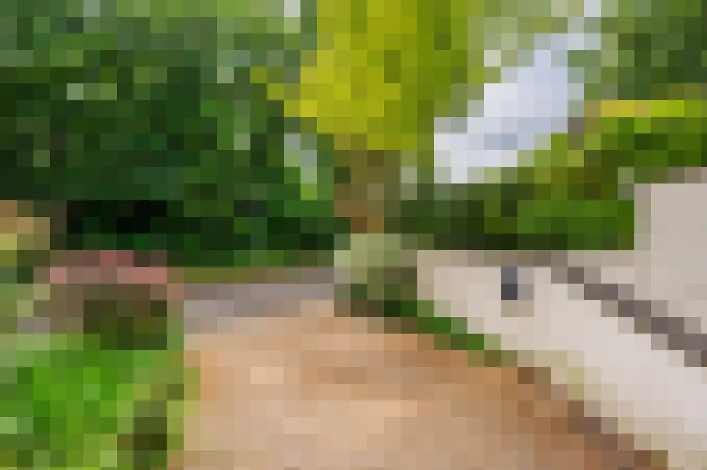 Merellaan 8 Grubbenvorst thumbnail 63