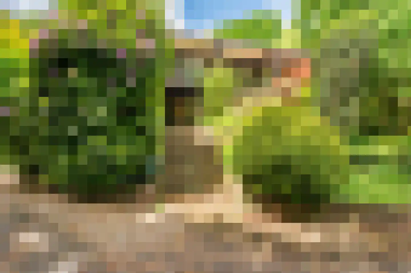 Merellaan 8 Grubbenvorst thumbnail 64