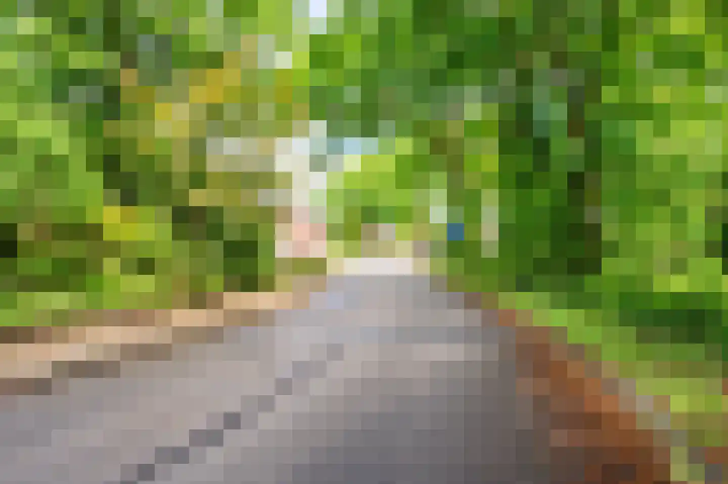 Merellaan 8 Grubbenvorst thumbnail 65