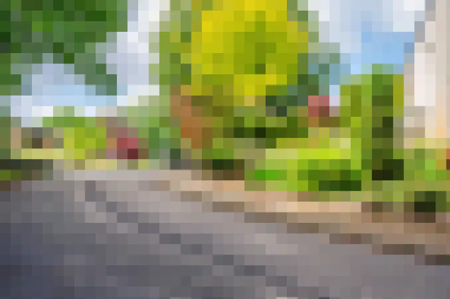 Merellaan 8 Grubbenvorst thumbnail 66
