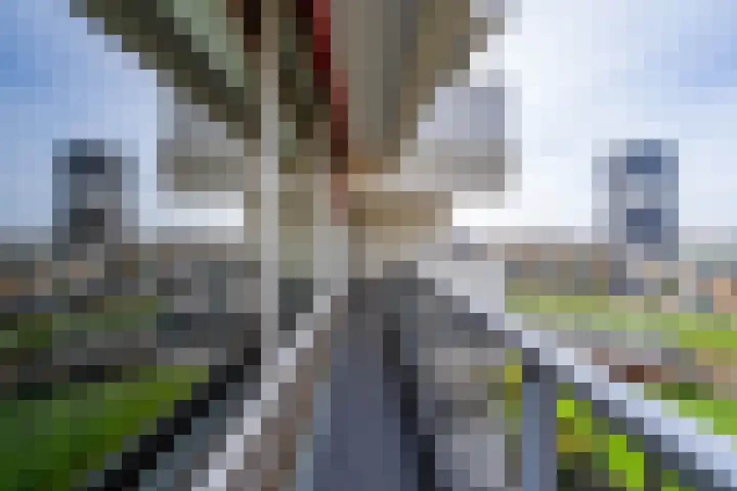 Merellaan 83 Maassluis thumbnail 30