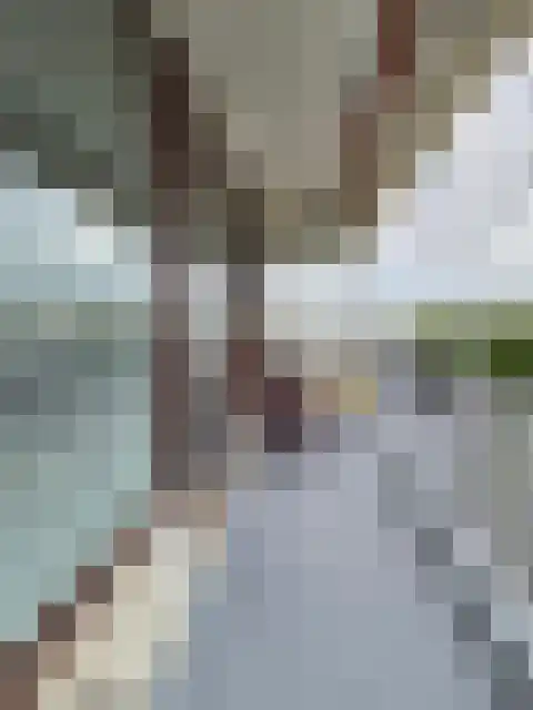 Merellaan 843 Maassluis thumbnail 4