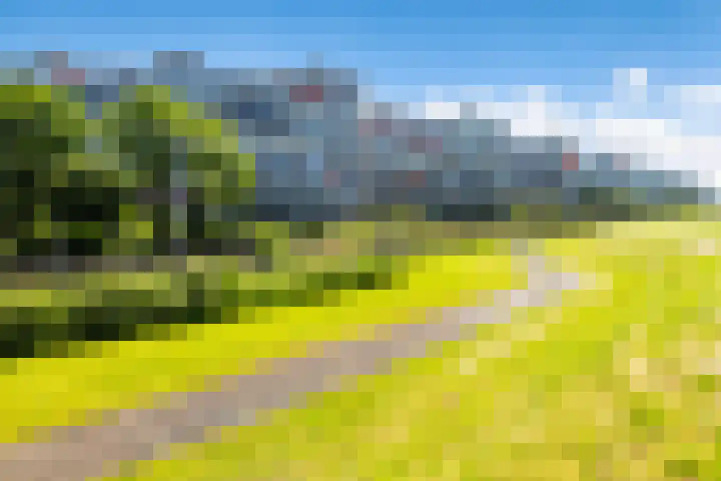 Merellaan 845 Maassluis thumbnail 45