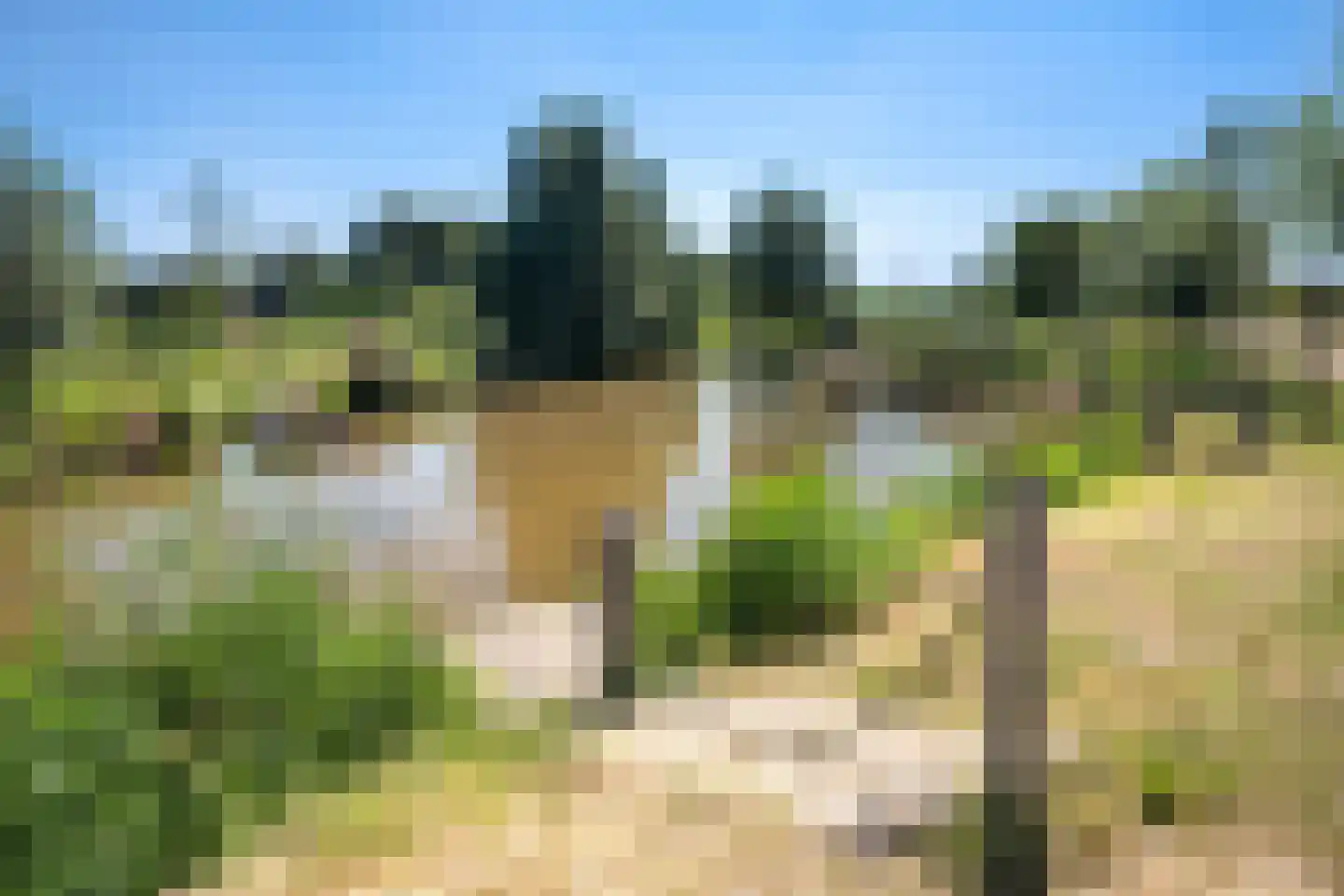 Merelnest 24 Moordrecht thumbnail 49
