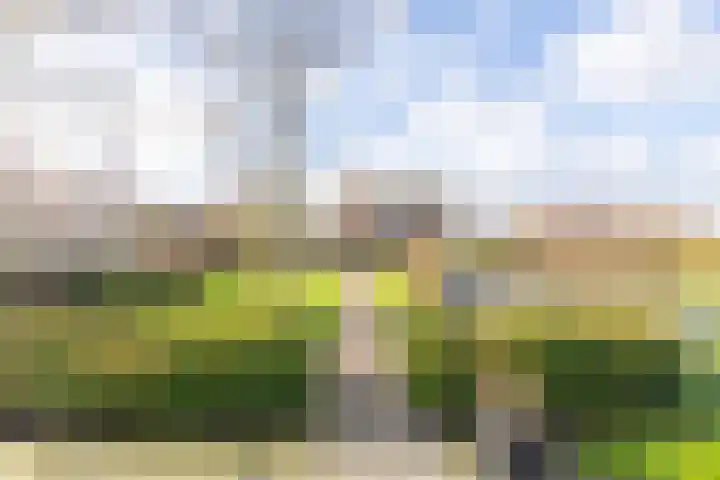 Merelplantsoen 17 Groot-Ammers thumbnail 19