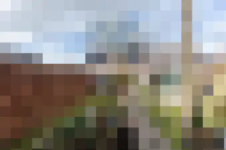 Merelplantsoen 17 Groot-Ammers thumbnail 22
