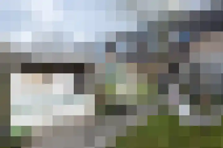 Merelplantsoen 17 Groot-Ammers thumbnail 26