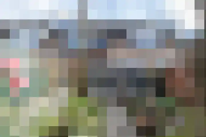 Merelplantsoen 17 Groot-Ammers thumbnail 27