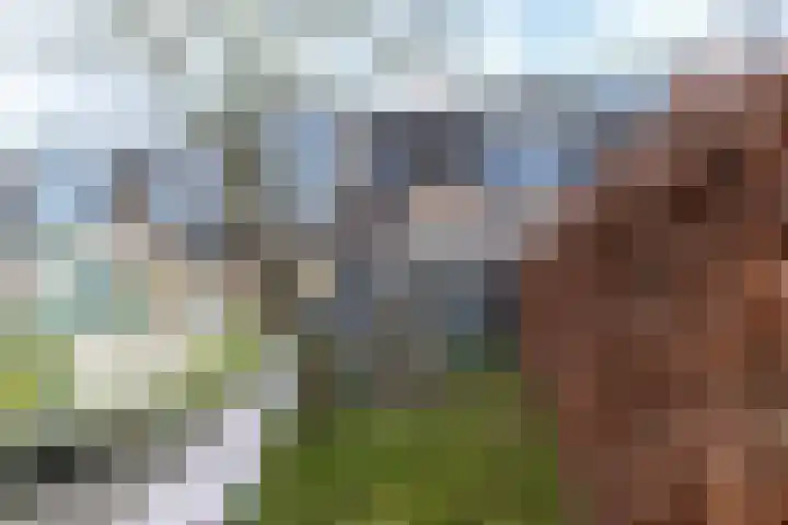 Merelplantsoen 17 Groot-Ammers thumbnail 28