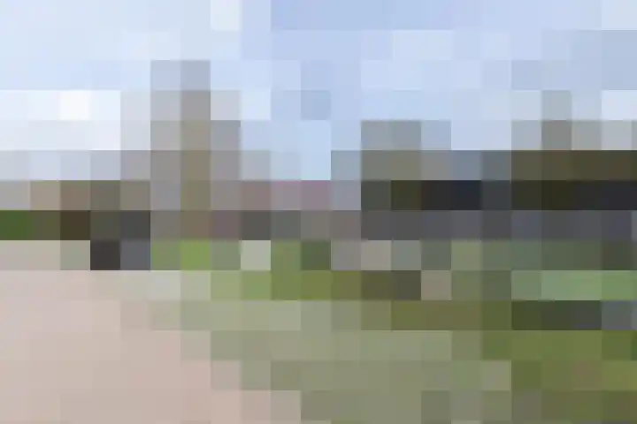 Merelplantsoen 17 Groot-Ammers thumbnail 29