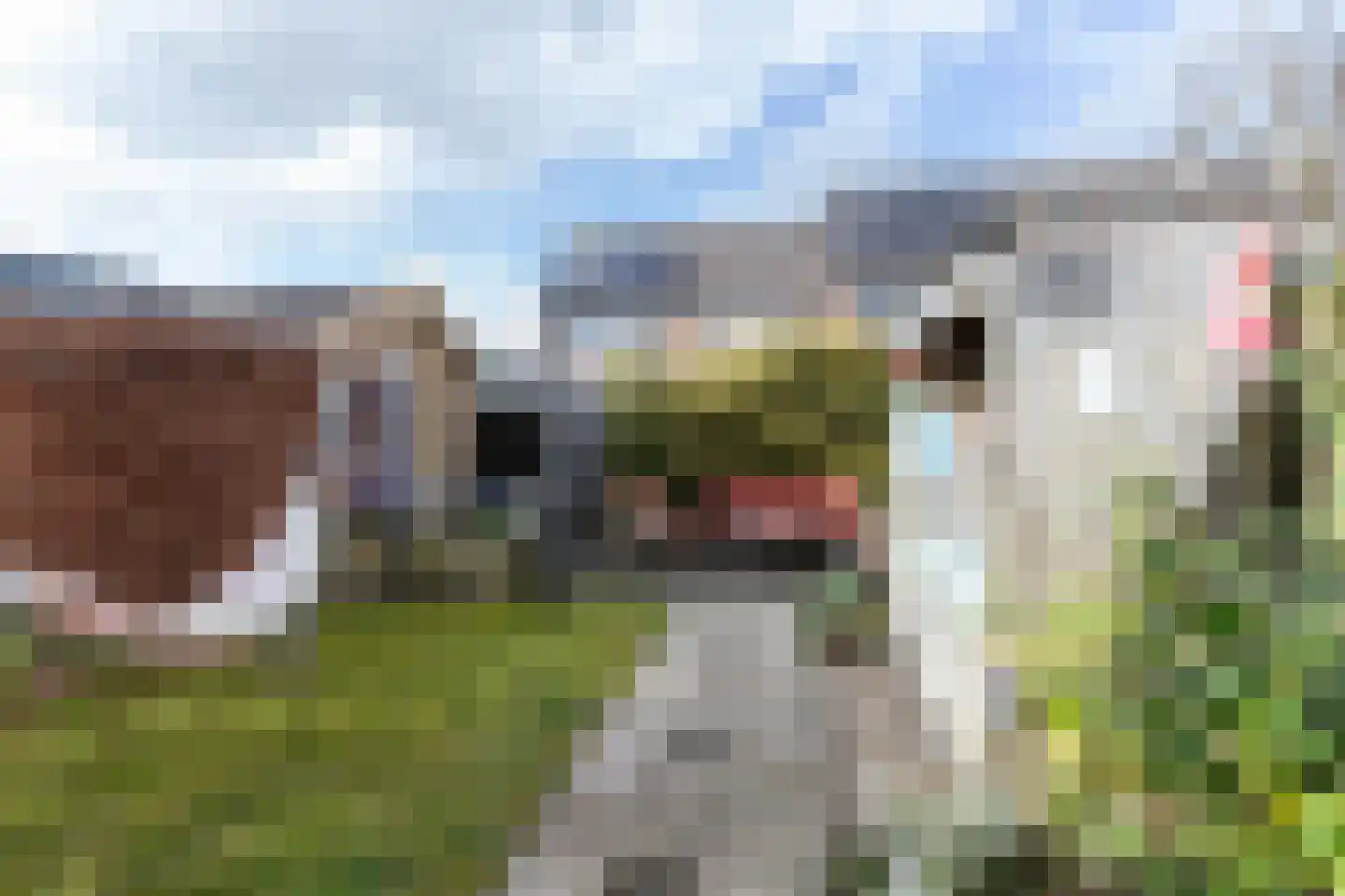 Merelplantsoen 17 Groot-Ammers thumbnail 4