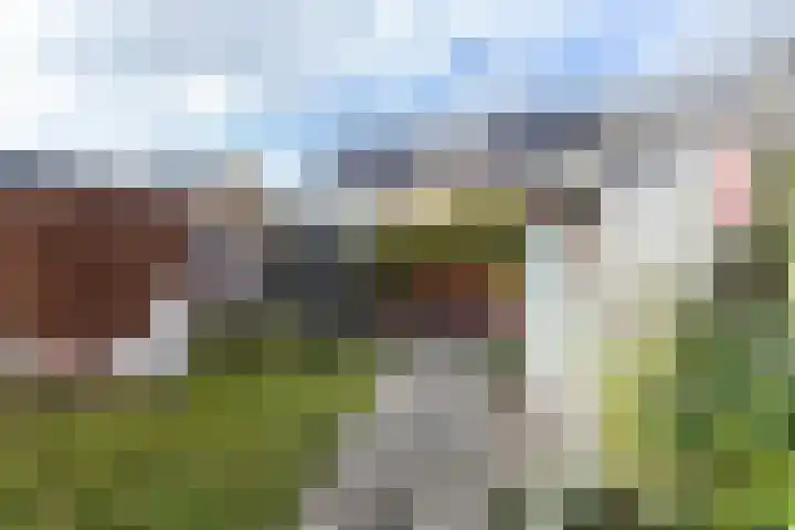 Merelplantsoen 17 Groot-Ammers thumbnail 4