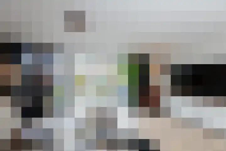 Merelplantsoen 17 Groot-Ammers thumbnail 8