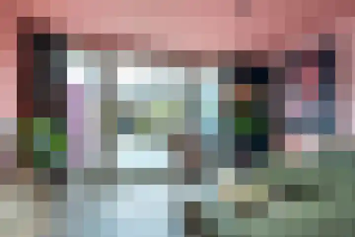 Merelplantsoen 40 Roelofarendsveen thumbnail 13