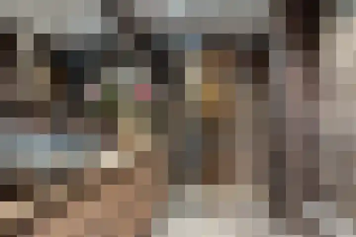 Merelplantsoen 40 Roelofarendsveen thumbnail 22