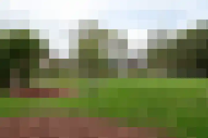 Merelplantsoen 40 Roelofarendsveen thumbnail 33