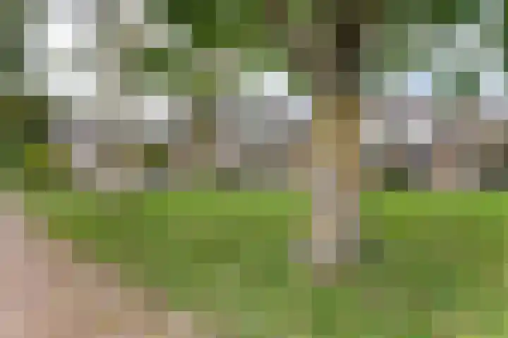 Merelplantsoen 40 Roelofarendsveen thumbnail 4
