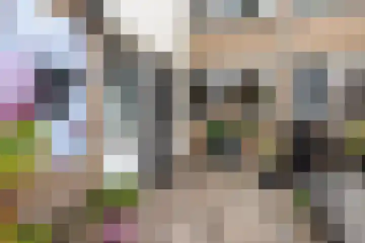 Merelplantsoen 40 Roelofarendsveen thumbnail 5