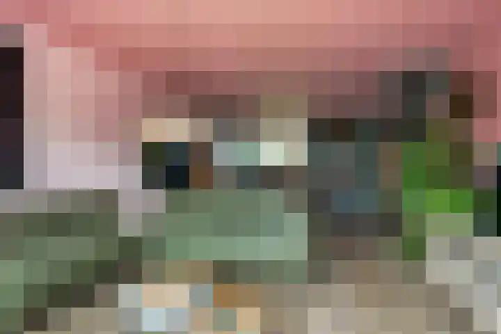 Merelplantsoen 40 Roelofarendsveen thumbnail 9