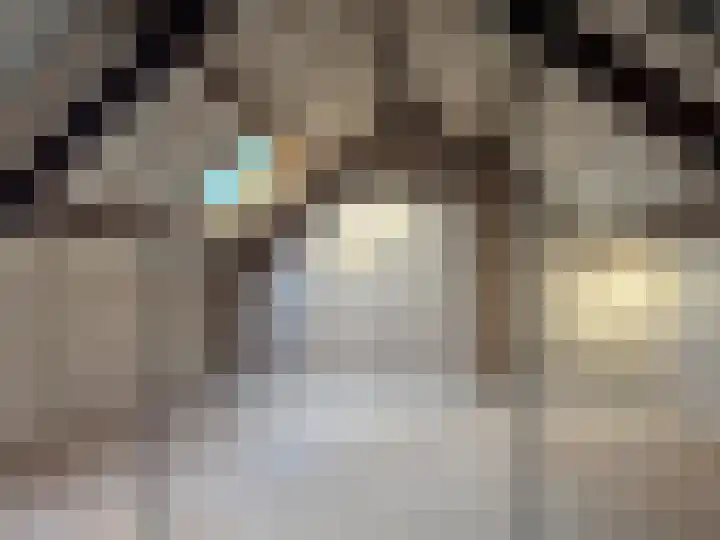 Merelplein 16 Boskoop thumbnail 14