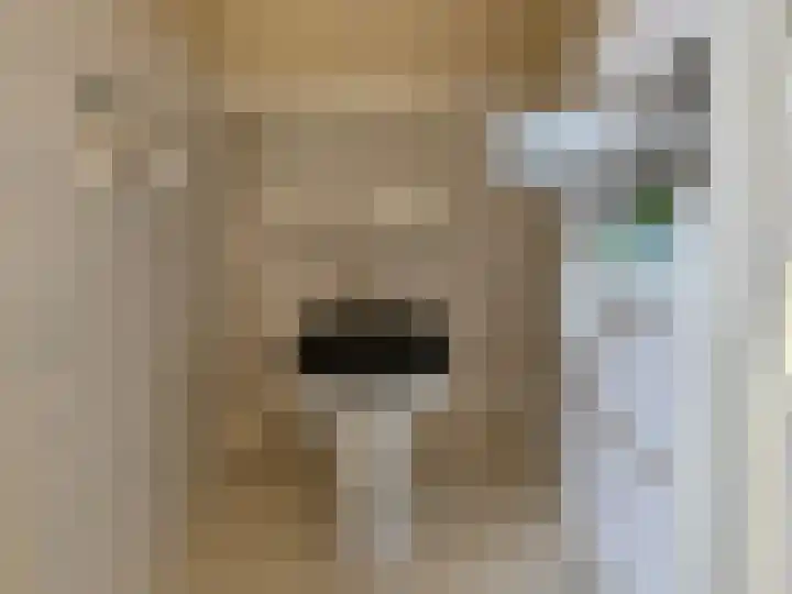 Merelplein 16 Boskoop thumbnail 9