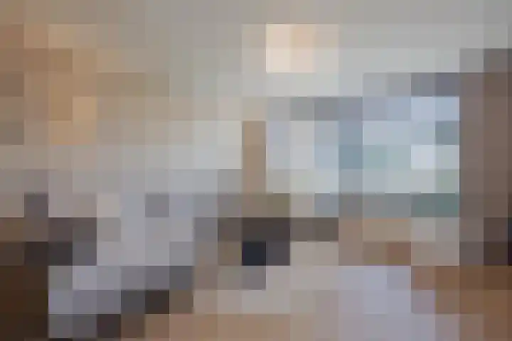 Merelplein 16 Horst thumbnail 11