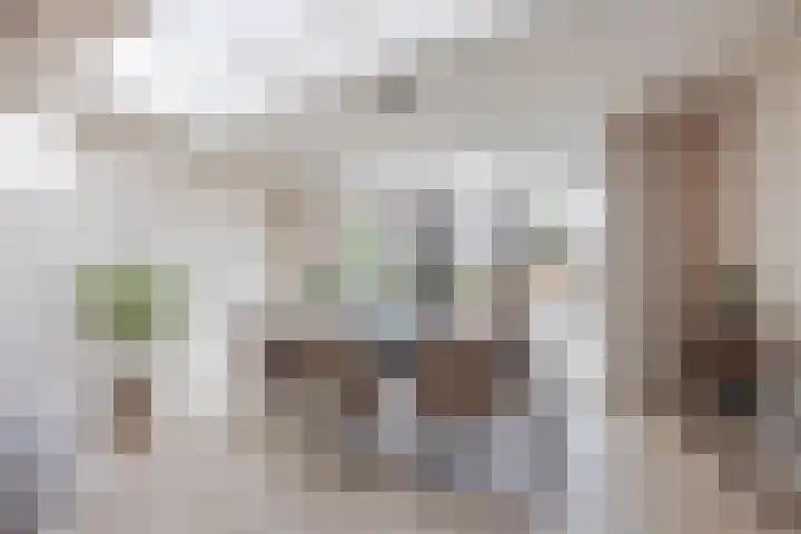 Merelplein 16 Horst thumbnail 18