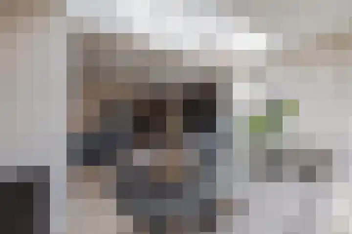 Merelplein 16 Horst thumbnail 19