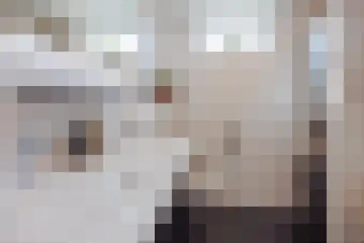 Merelplein 16 Horst thumbnail 29
