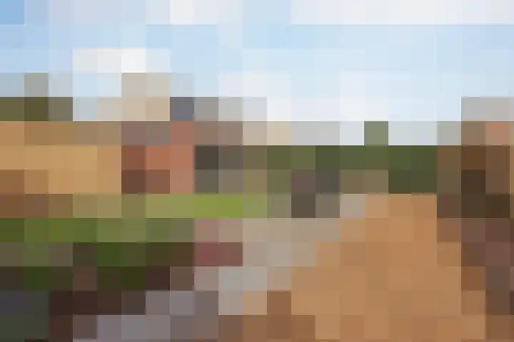Merelplein 16 Horst thumbnail 30