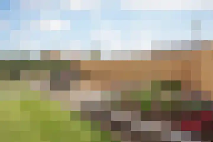Merelplein 16 Horst thumbnail 31