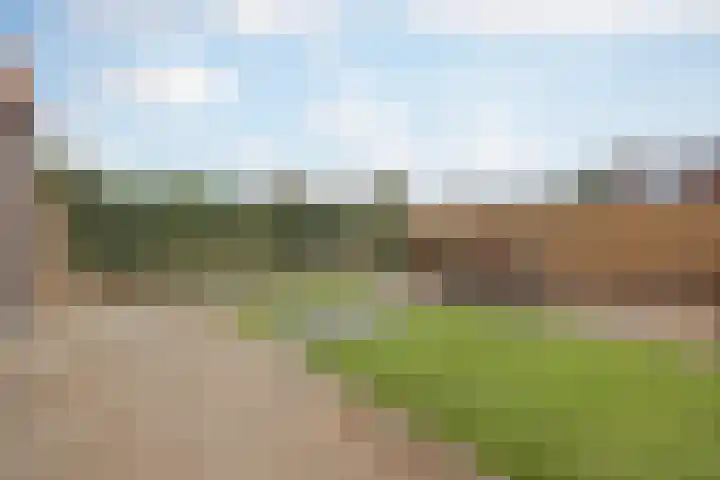 Merelplein 16 Horst thumbnail 32