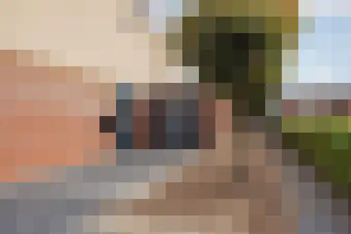 Merelplein 16 Horst thumbnail 35