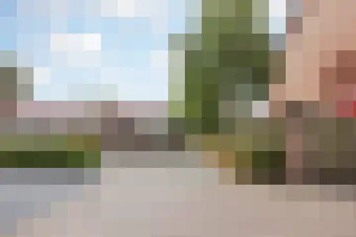 Merelplein 16 Horst thumbnail 38