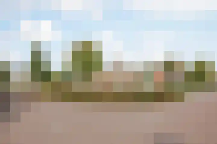 Merelplein 16 Horst thumbnail 39