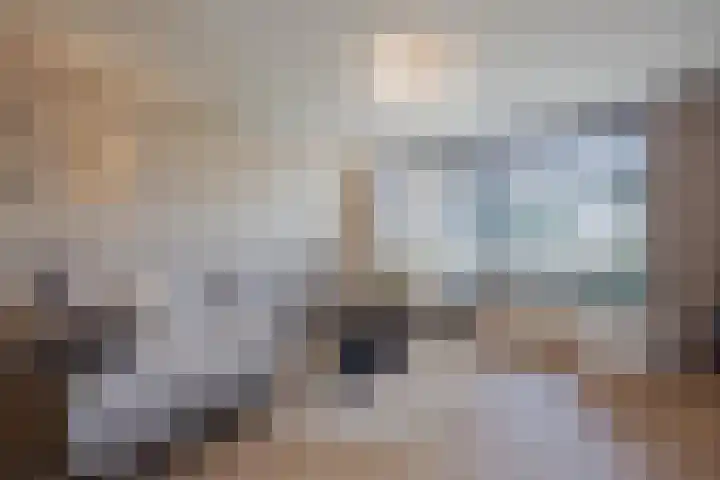 Merelplein 16 Horst thumbnail 4