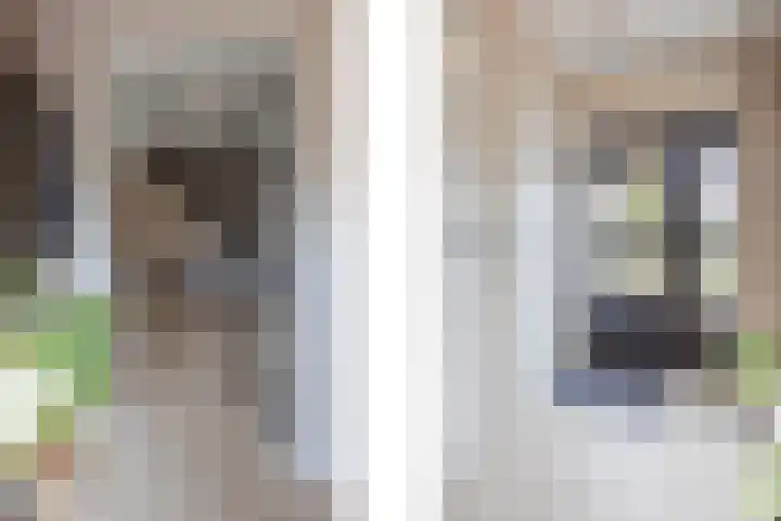Merelplein 16 Horst thumbnail 8
