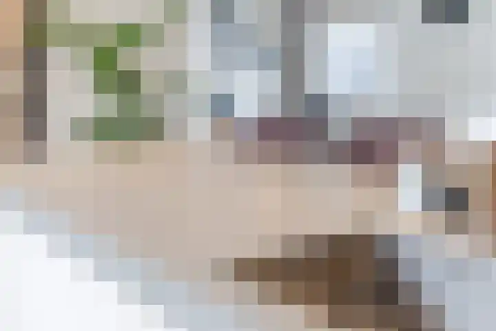 Merelplein 18 Boskoop thumbnail 19