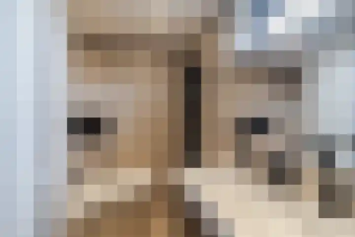 Merelplein 18 Boskoop thumbnail 32