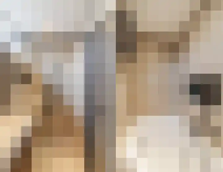Merelplein 18 Boskoop thumbnail 33
