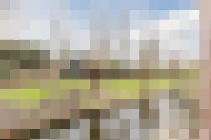 Merelplein 18 Boskoop thumbnail 41