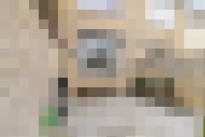 Merelplein 18 Boskoop thumbnail 44
