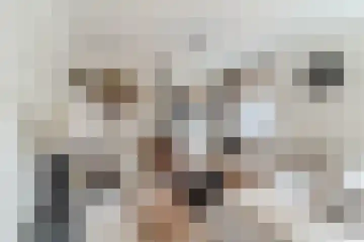 Merelplein 18 Boskoop thumbnail 9