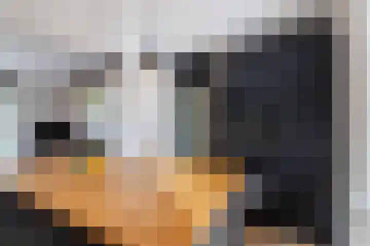 Merelplein 19 Boskoop thumbnail 12