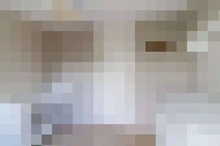 Merelplein 19 Boskoop thumbnail 22
